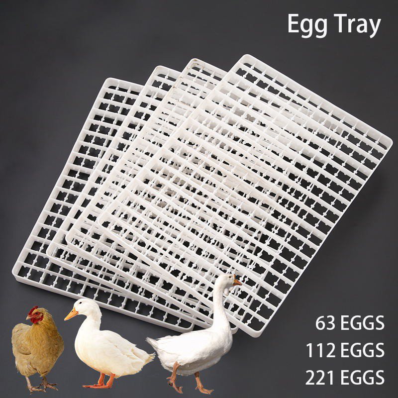 Quail Egg Incubator - 1 buah nampan telur untuk inkubator