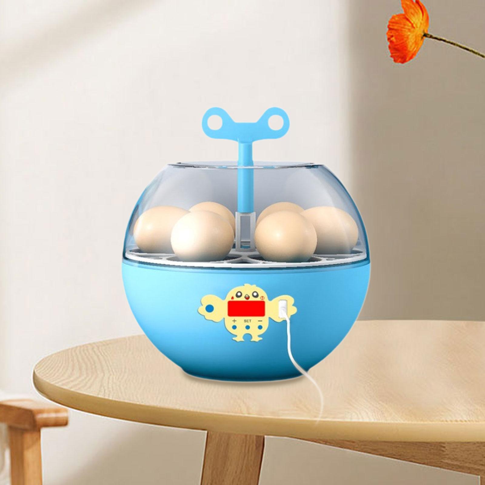 Quail Egg Incubator - Inkubator Telur Mini 6 Telur, Inkubator