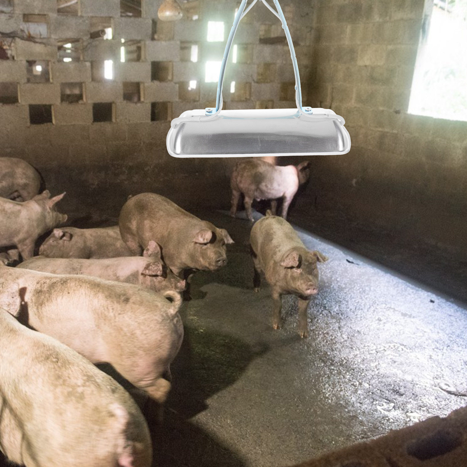 Farming A - Lampu Preservasi Peternakan Babi, Pemanas Kandang