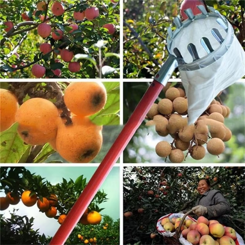 Pemetik Buah Besi Galvanis Tel - Farming Agriculture Tools ulasan dan harga