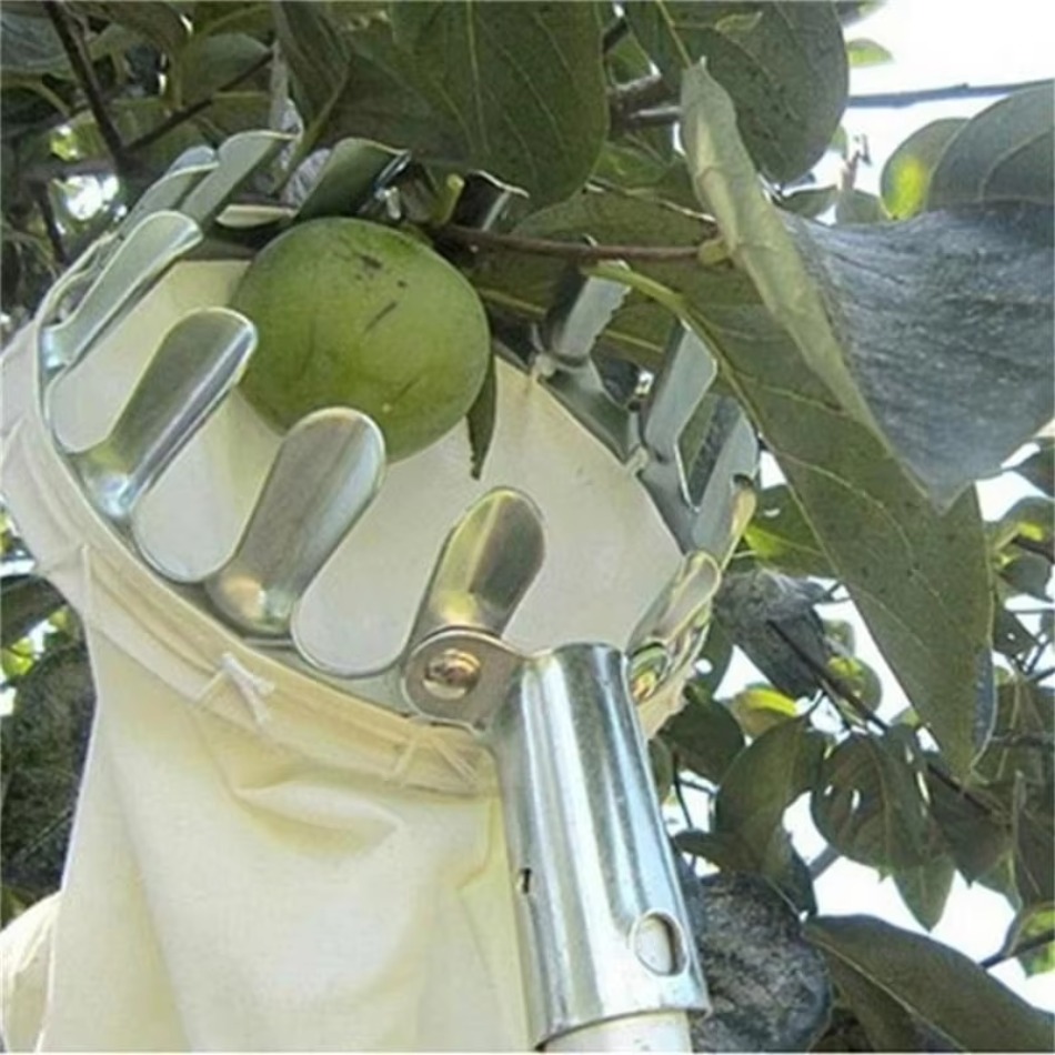 Pemetik Buah Besi Galvanis Tel - Farming Agriculture Tools ulasan dan harga