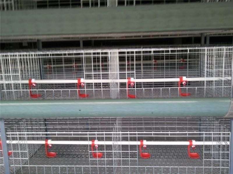 Peralatan Pertanian dan Petern - Agriculture.Farming Design ulasan dan harga