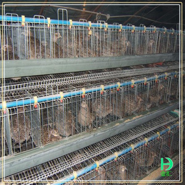 Peralatan Pertanian dan Petern - Agriculture.Farming Design ulasan dan harga