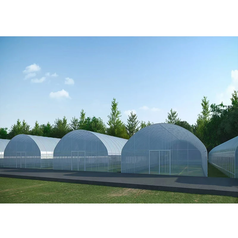 #   l Peralatan Rumah Kaca Sin - Organic Farming In Agriculture ulasan dan harga