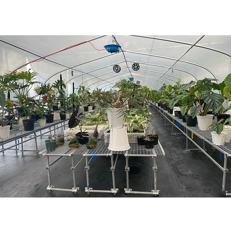 #   l Peralatan Rumah Kaca Sin - Organic Farming In Agriculture ulasan dan harga