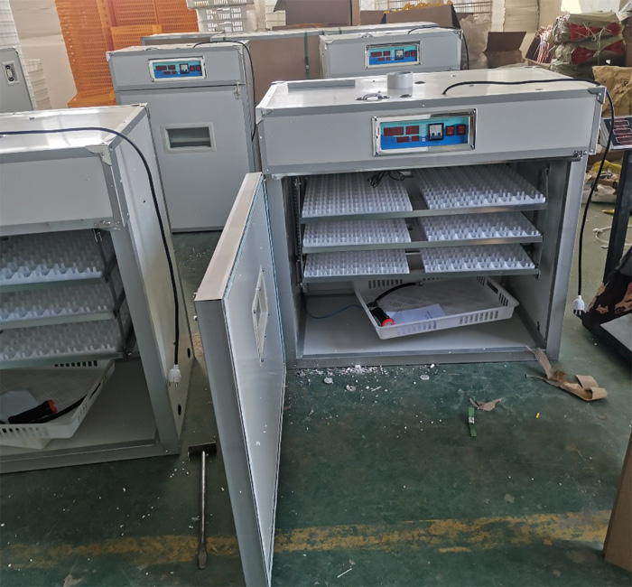 Pengontrol untuk Inkubator Tel - Quail Egg Incubator ulasan dan harga