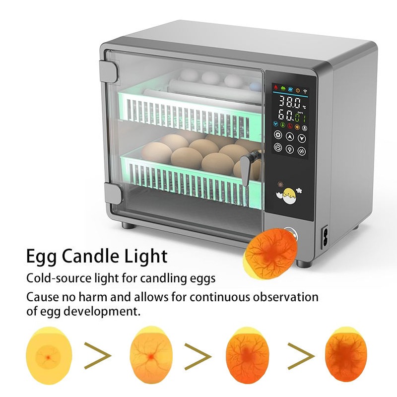 Inkubator Telur Otomatis Penuh - Quail Egg Incubator ulasan dan harga