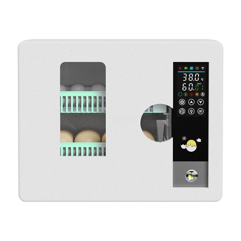 Inkubator Telur Otomatis Penuh - Quail Egg Incubator ulasan dan harga