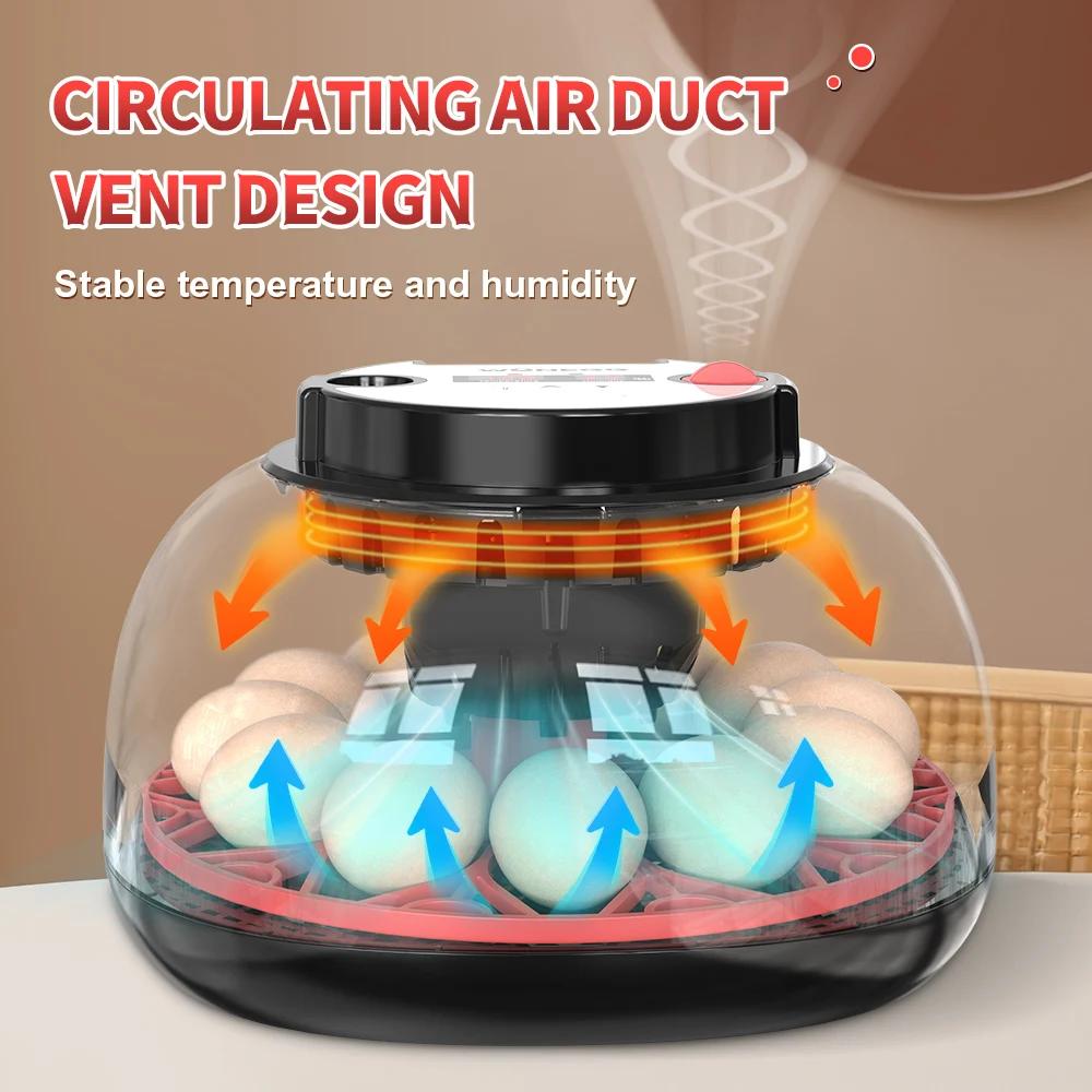 Inkubator Telur Otomatis 12 Te - Quail Egg Incubator ulasan dan harga
