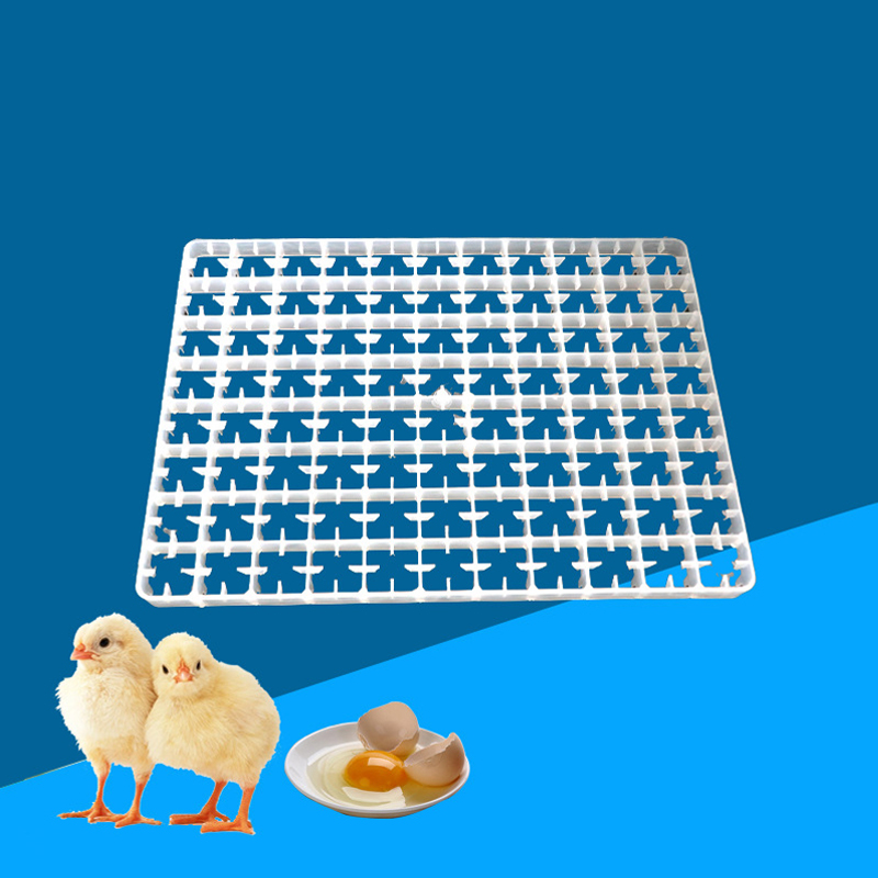 1 buah nampan telur untuk inku - Quail Egg Incubator ulasan dan harga