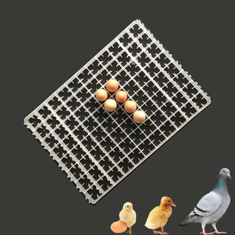 1 buah nampan telur untuk inku - Quail Egg Incubator ulasan dan harga