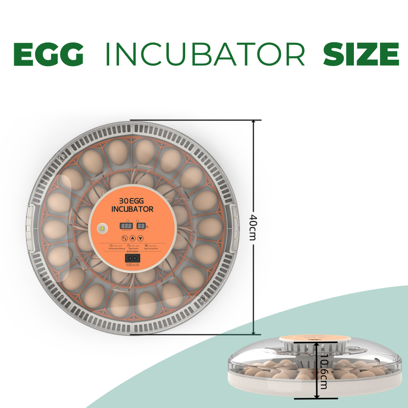 Inkubator Telur STLF30 untuk P - Quail Egg Incubator ulasan dan harga