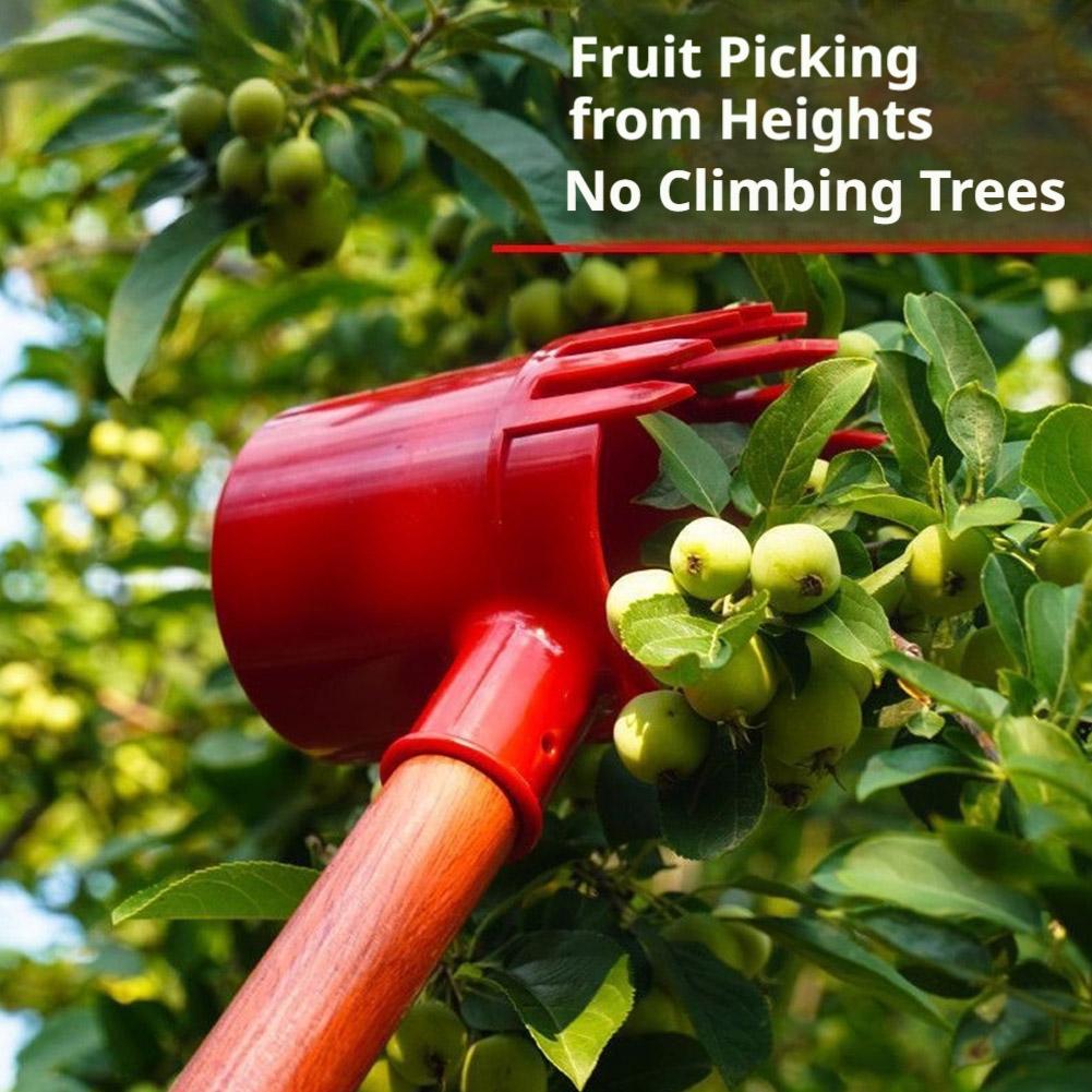 Alat Pemetik Buah Portabel, As - Farming Agriculture Tools ulasan dan harga