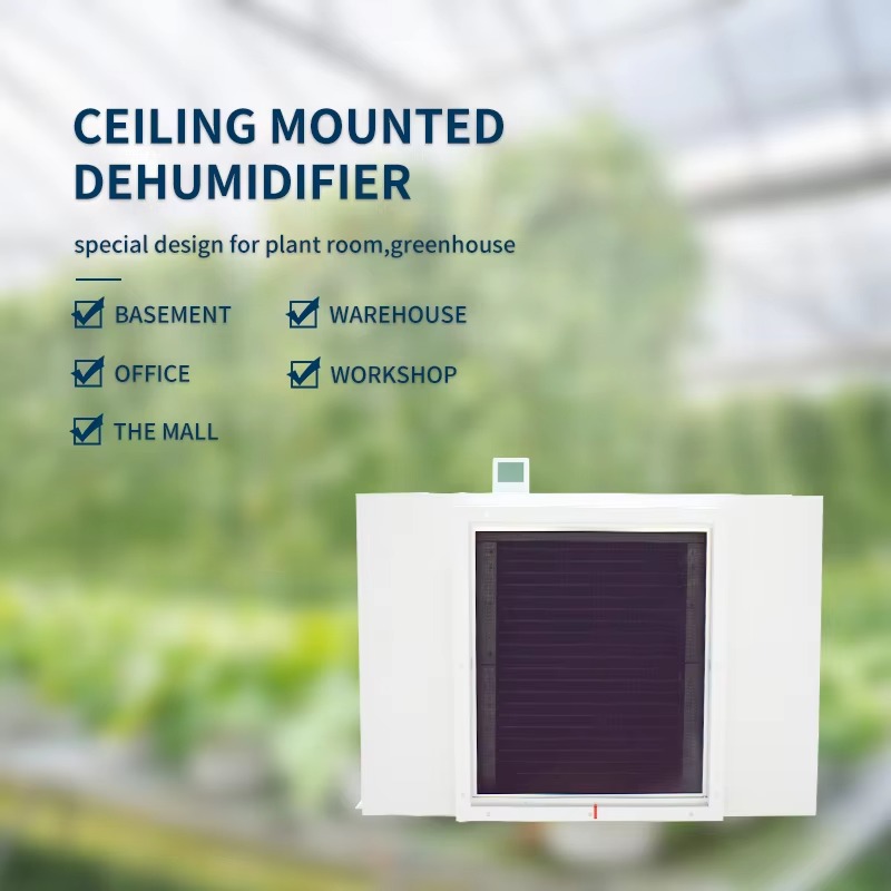 Dehumidifier Udara Besar 480L  - Farming A ulasan dan harga
