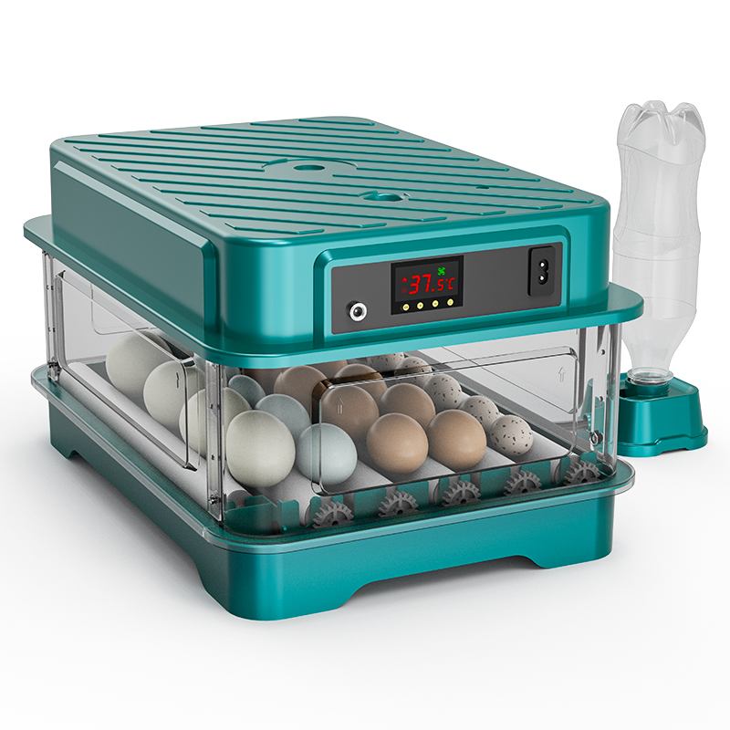 Inkubator Telur Otomatis Penuh - Quail Egg Incubator ulasan dan harga