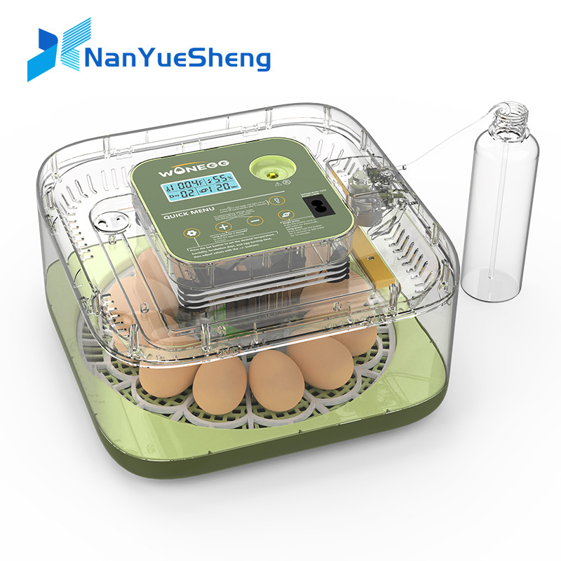 Baru 12 Mesin Penetasan Telur  - Quail Egg Incubator ulasan dan harga