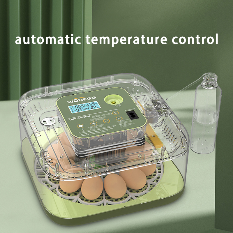 Baru 12 Mesin Penetasan Telur  - Quail Egg Incubator ulasan dan harga