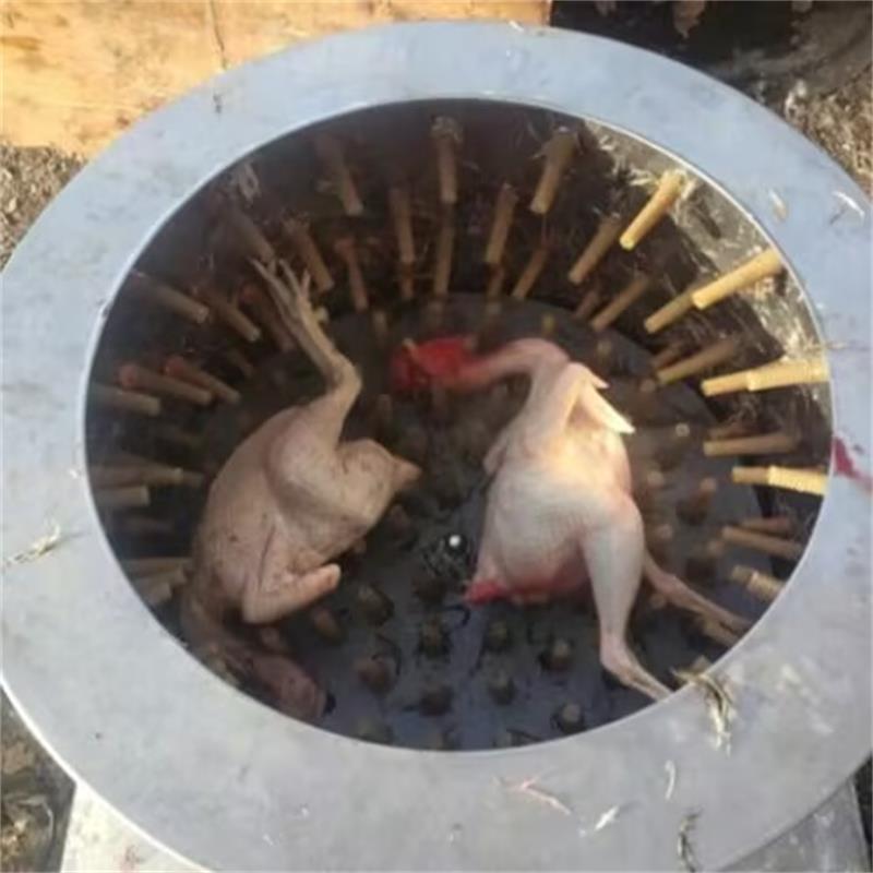 Mesin Pencabut Bulu Burung Puy - Chicken Plucker Machine ulasan dan harga