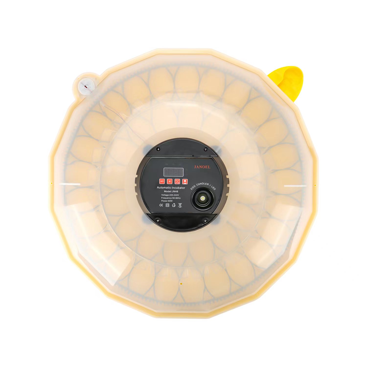 Inkubator Telur Mini dengan Ti - Quail Egg Incubator ulasan dan harga