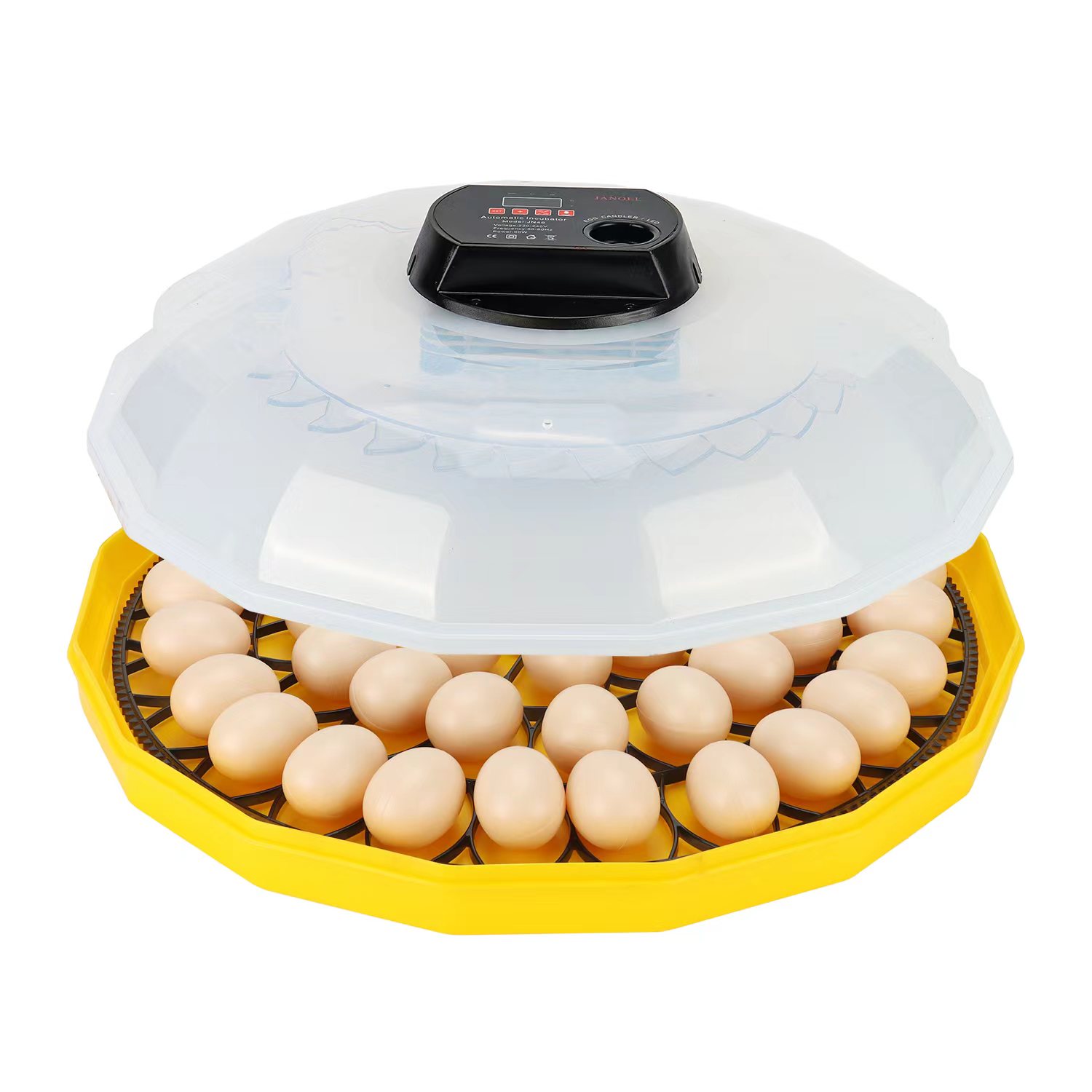 Inkubator Telur Mini dengan Ti - Quail Egg Incubator ulasan dan harga