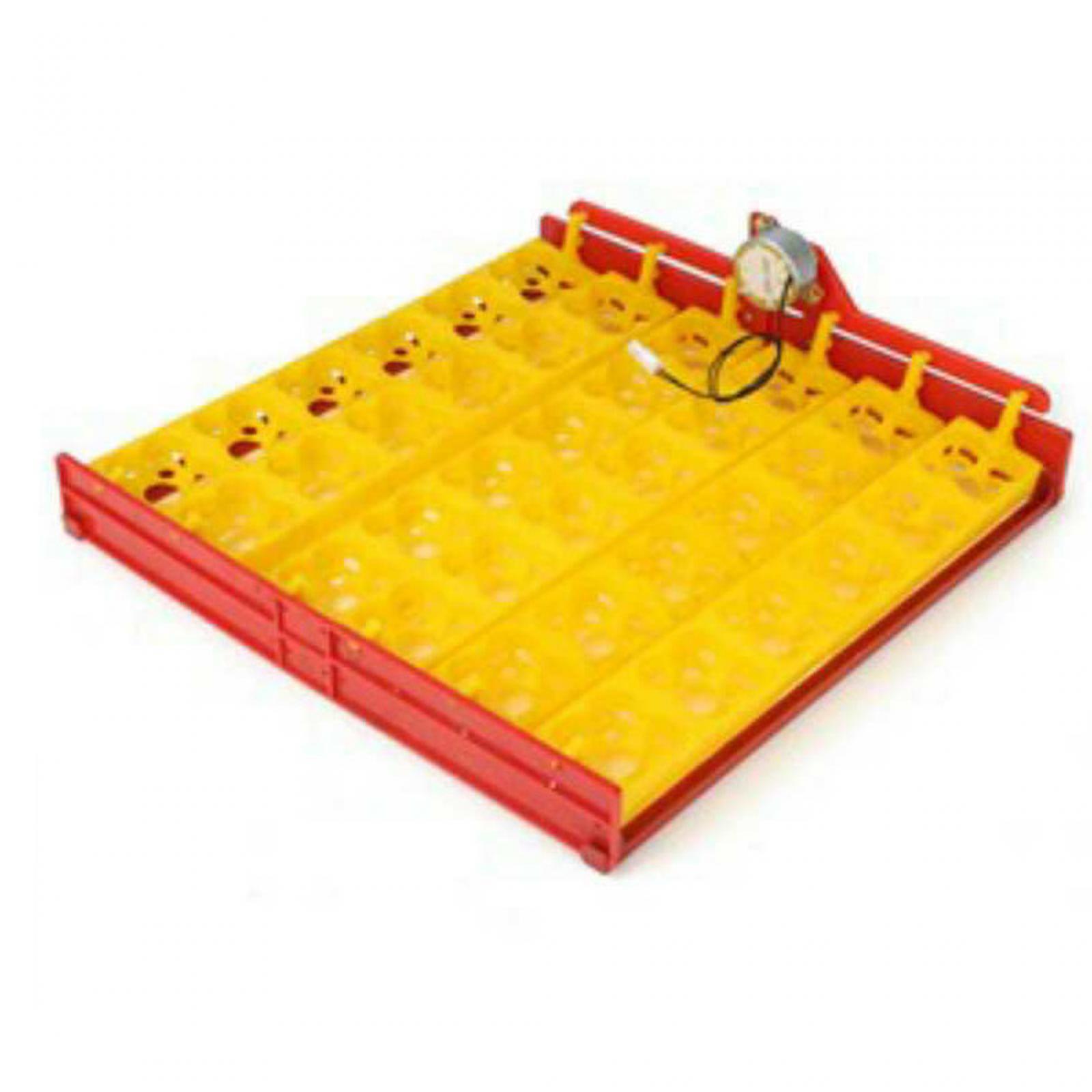 Baki Inkubator Telur Plastik O - Quail Egg Incubator ulasan dan harga